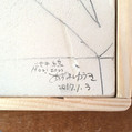 997.地平線