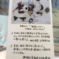 東佑樹個展「ピカソか？ミロか？オレか？」